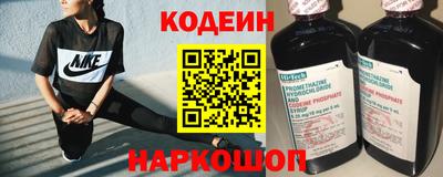 прущие крисы Камышлов