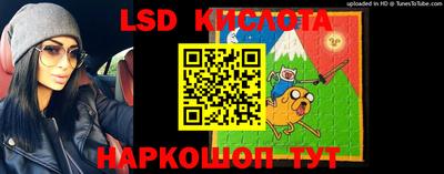 прущие крисы Камышлов