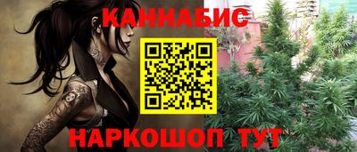 прущие крисы Камышлов