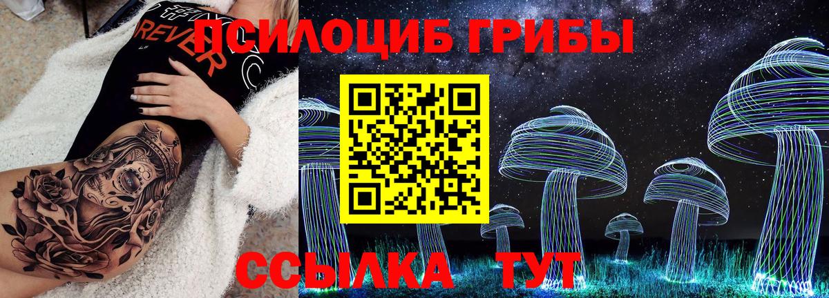 Псилоцибиновые грибы Psilocybe  Галлюциногенные грибы Psilocybine cubensis  цены   Вход с VPN  Черняховск 
