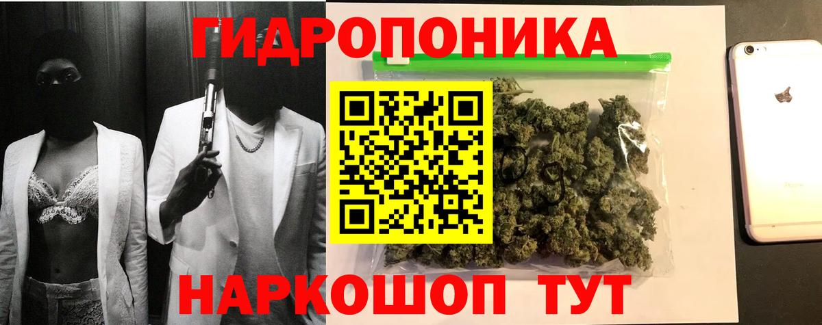 Каннабис OG Kush  Конопля VHQ  Каннабис тримм  Вход с VPN  Черняховск 